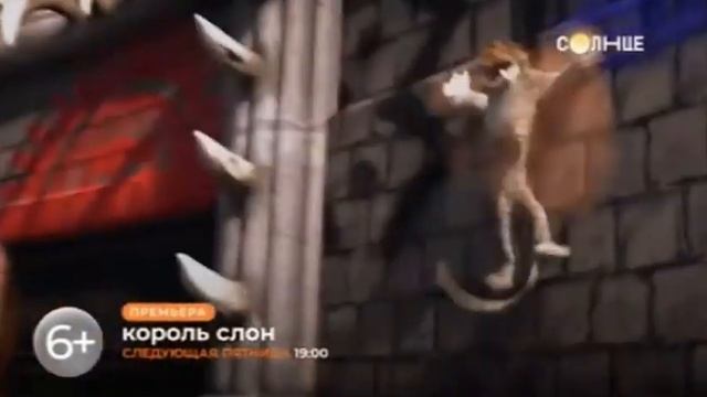 Анонс "Король слон" на ТВ-канале "Солнце" (06:29, 09.07.23) смотреть онлайн