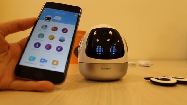 Первый запуск Pudding S C сайта Pudding-Moscow.ru