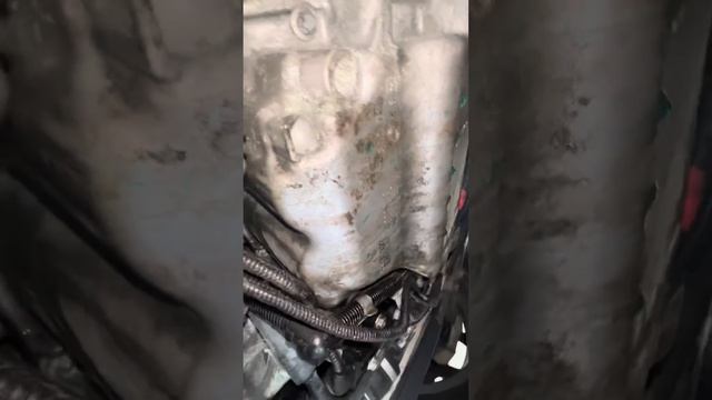 2017 Bmw x1 unidentified coolant leak смотреть онлайн