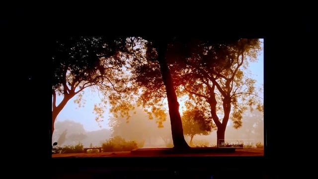 Viewing Angles: LG C1 VS LED LCD VA Panel смотреть онлайн