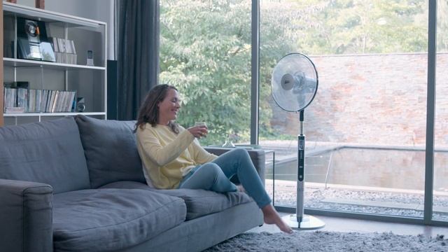 Solis Fan-Tastic stand ventilator (type 750) смотреть онлайн