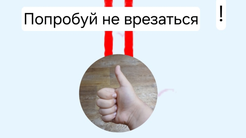 Животные Катаются На Горе! | Skying Pets