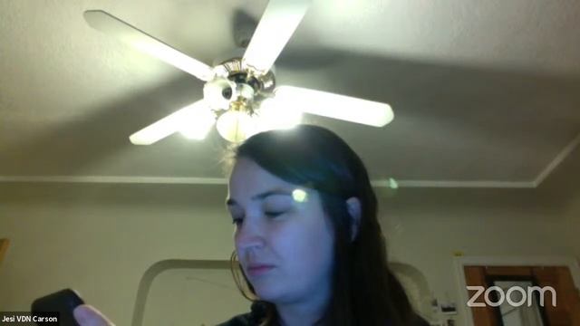 Jesi VDN Carson's Zoom Meeting смотреть онлайн