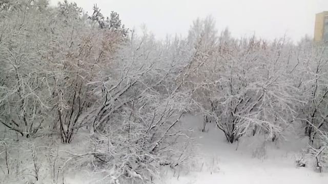 Highscreen Zera F rev.S смотреть онлайн