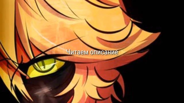 Читаем описание...