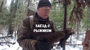 ПОМЕНЯЛ УРАГАНА НА РЫЖИКА!!! ПРОВЕРИЛИ ПУТИК К МЁРТВОМУ ОЗЕРУ!!!