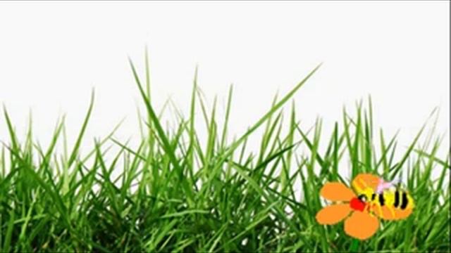 Футаж. Рамка - трава и пчела. смотреть онлайн