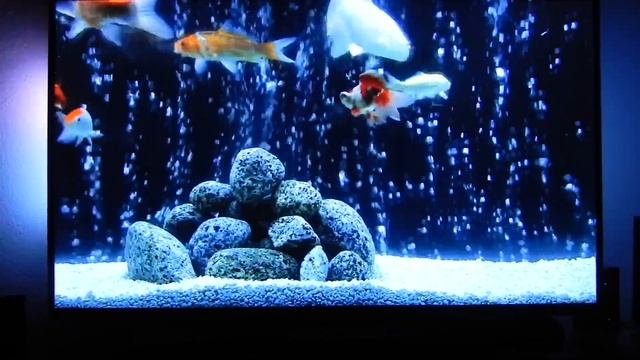 PHILIPS-AMBILIGHT EFECT смотреть онлайн