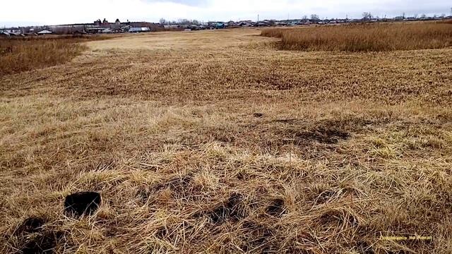 Это Место Продолжает Радовать Меня По Находкам Металла. смотреть онлайн