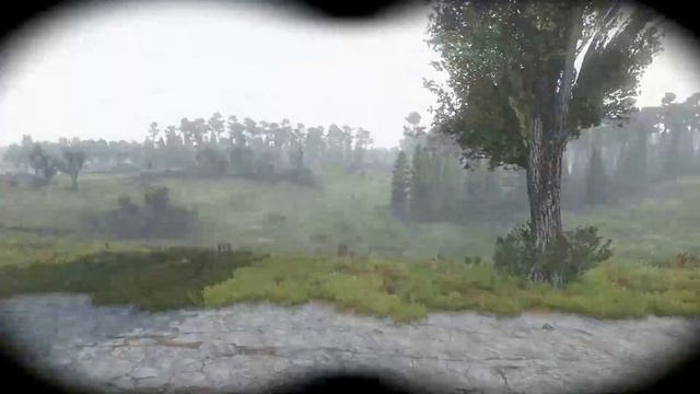 STALKER PVE CHILLERS Old -Тёмная долина\Королева леса смотреть онлайн