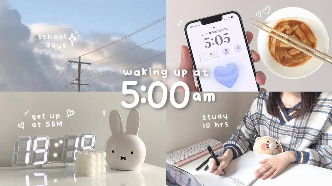 Waking Up at 5AM vlog ☁ study hard, work hard, live healthy ｜ getting my life together смотреть онлайн
