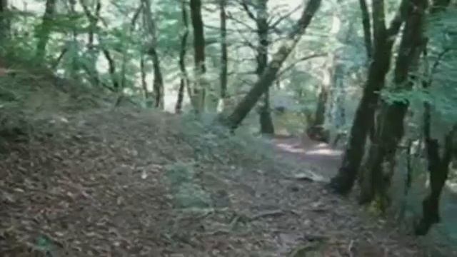 Заповедник Горненский смотреть онлайн