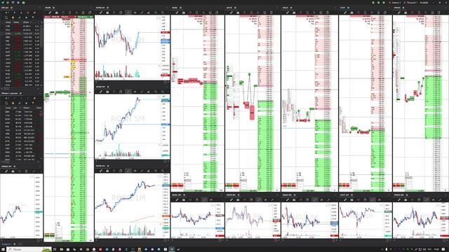 Щорт ROSN от плотности в плюс