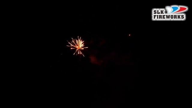 CL 021 ОГНИ НОЧНОЙ ПЕНЗЫ (0.8" х 49) смотреть онлайн