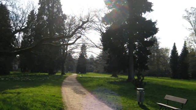 Elcho - Lazy Summer Days