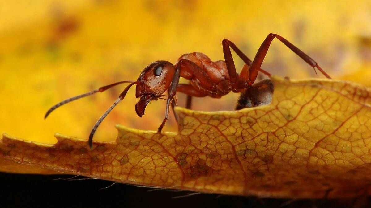 Повседневные объекты в микросъемке в 4K ULTRA HD смотреть онлайн