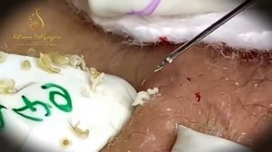 Relax Every Day With Loan Nguyen Relax TV #65