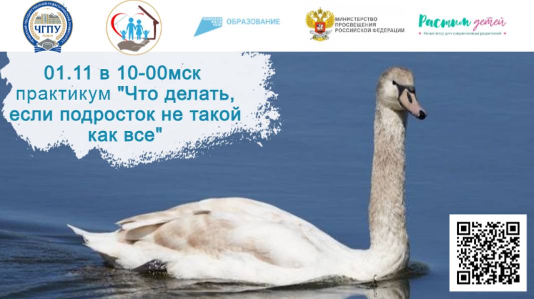 01.11.2024 практикум "Гадкий утёнок. Что делать, если подросток не такой как все" смотреть онлайн