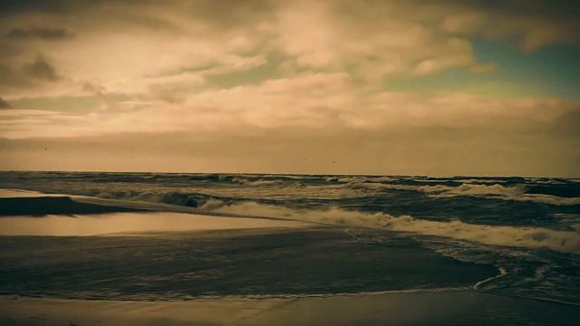 THALL смотреть онлайн