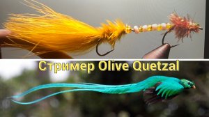 Стример Оливковый Квезаль Как связать от GM FLY