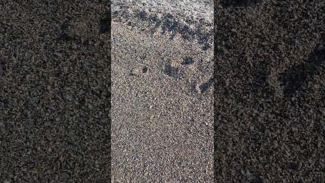 Обзор пляжа#Отель Sunshine Hotel 4****#Турция#Аланья#Махмутлар