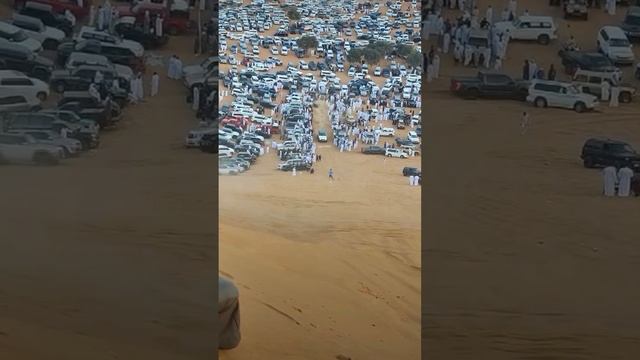 Desert Drive смотреть онлайн