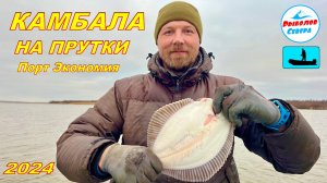 ✅ РЫБАЛКА НА КАМБАЛУ 2024 I Архангельск порт Экономия #Рыболов_Севера #камбала