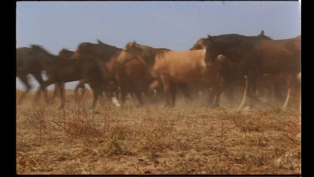 Александра Черкасова | Визитка смотреть онлайн