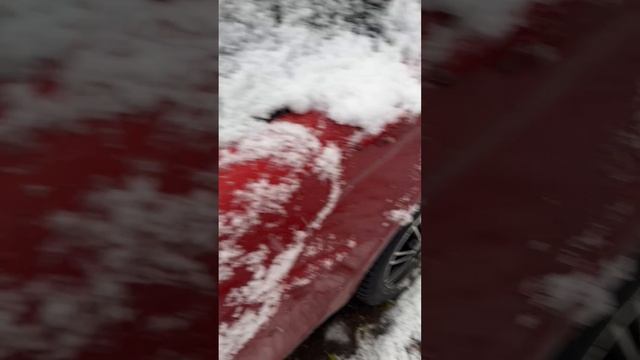 Второй День со Снегом 😂