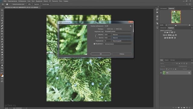 Adobe Photoshop CC 2020 / Размер и разрешение изображения