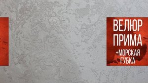 Нанесение декоративной штукатурки Велюр Прима + Морская Губка своими руками