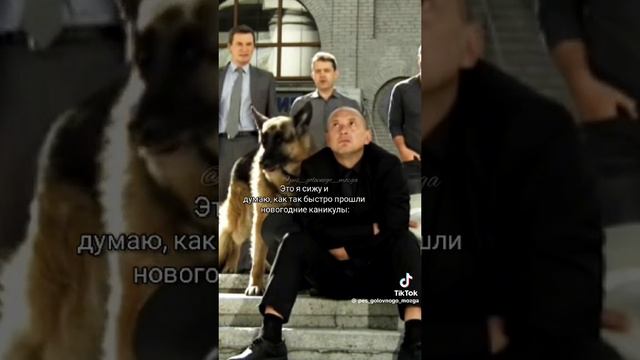 не ну жиза 😂😂 смотреть онлайн