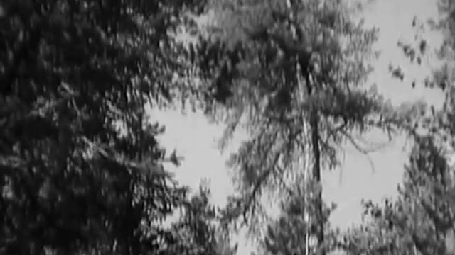 Лев Барашков - Главное, ребята, сердцем не стареть 1963 г смотреть онлайн