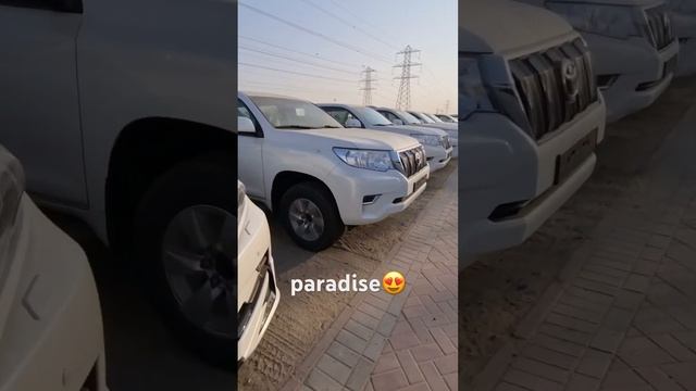 Удовольствие для глаз, настоящий рай Для заказа: +7 914 977-60-60 #music #hiphop #rap смотреть онлайн