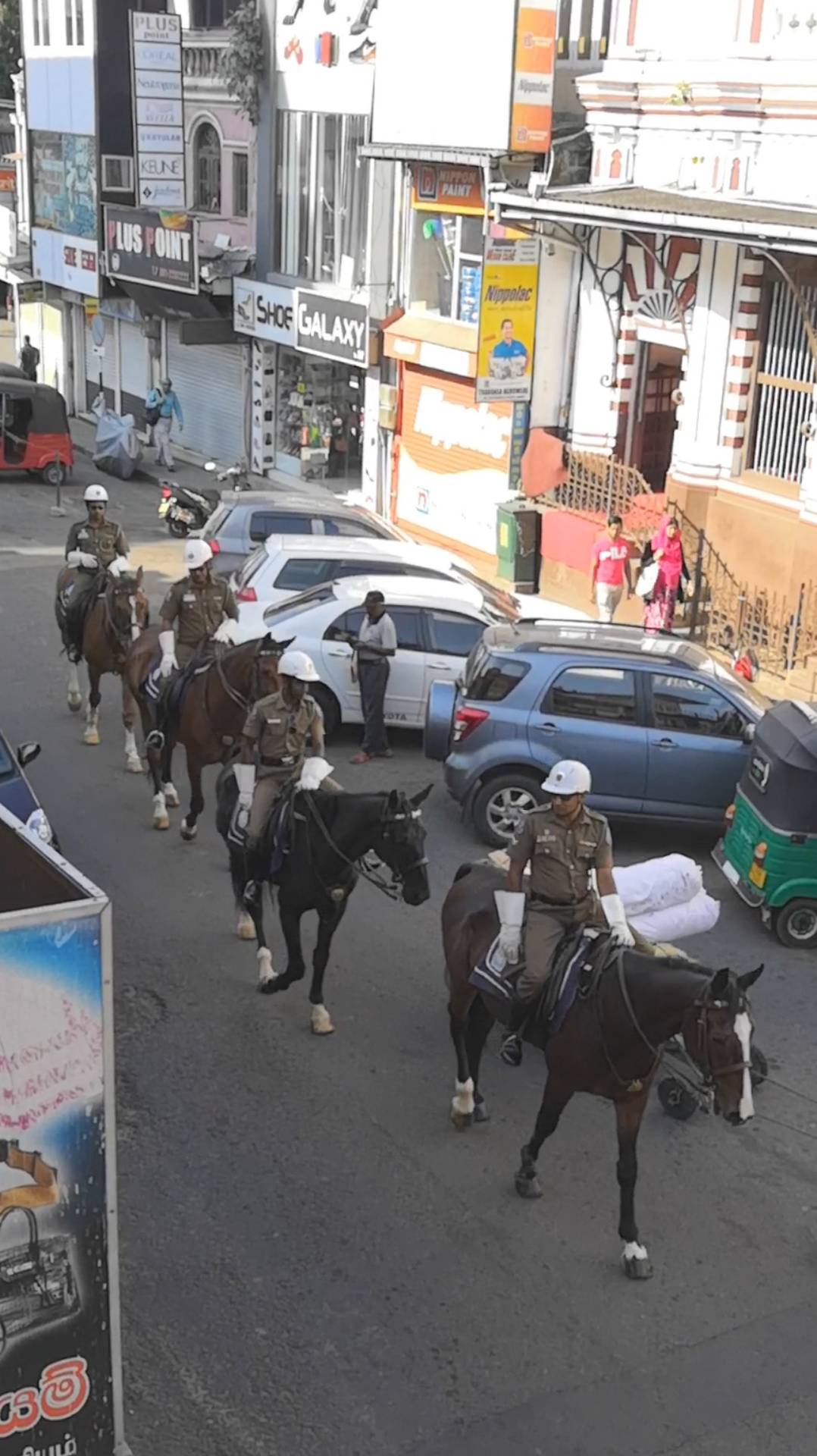 Конная полиция следит за порядком в Канди, Шри-Ланка смотреть онлайн