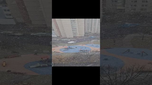Санкт-Петербург 02.11.2024