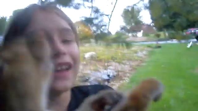 Dead Squirrel :D смотреть онлайн