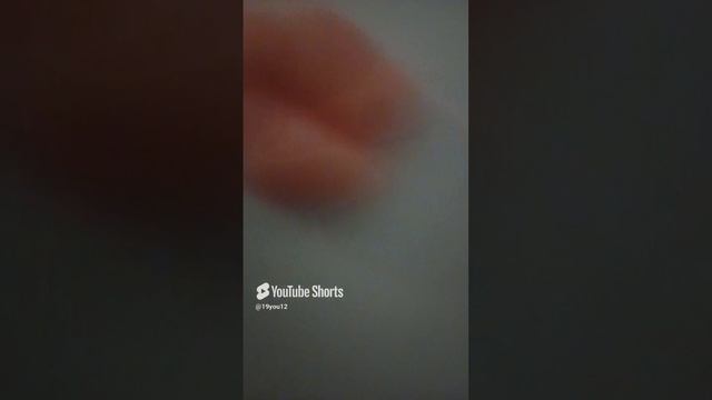 видео с таполапкой смотреть онлайн