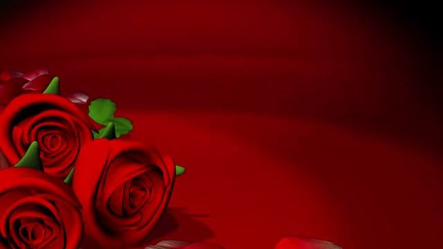 Never, Never, Never Shirley Bassey with (lyrics).FLV смотреть онлайн