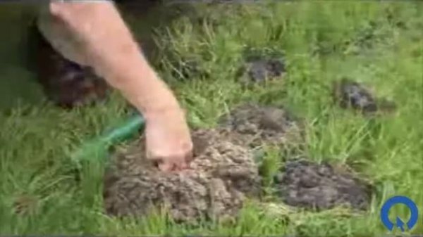 Ультразвуковой отпугиватель кротов "Weitech WK 0675"