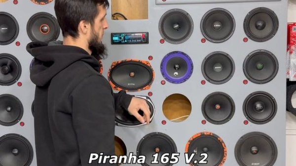 Сравнение DL audio Piranha 165 V.2 vs. Avatar MBR-61