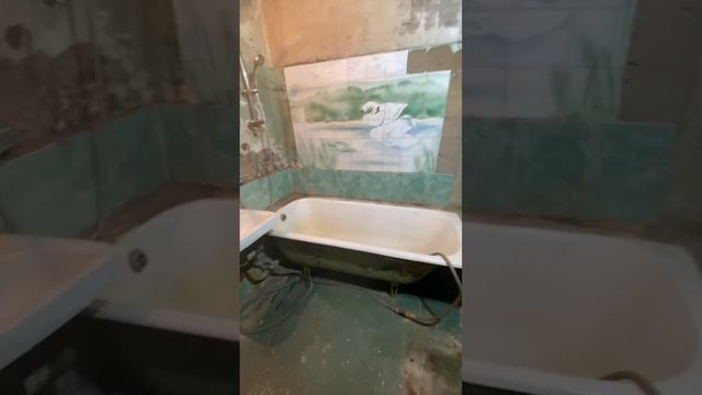 Начало работ в раздельном санузеле #ремонтвванной #ремонтсанузла #санузелподключ смотреть онлайн