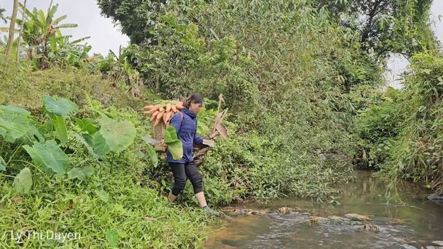 Full Video: 90-day Journey Of Single Mother Searching For Justice - Sacred Family Love |Ly Thi Duye