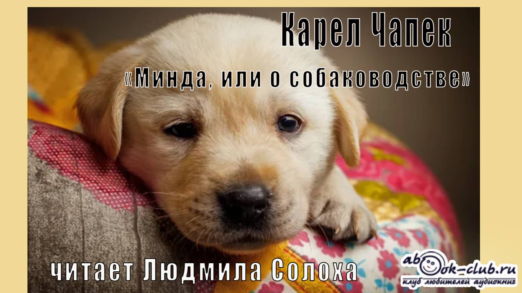 Карел Чапек "Минда, или о собаководстве" (рассказ)