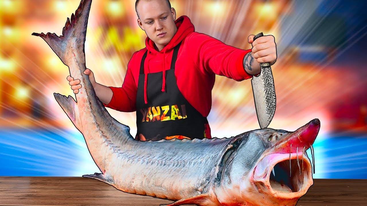 ПРИГОТОВИЛИ ОГРОМНУЮ БЕЛУГУ ВЕСОМ 50 КИЛОГРАММ смотреть онлайн