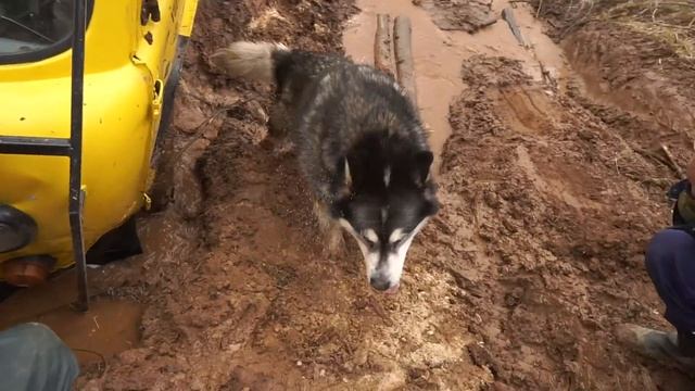 Отправились на бездорожье в лес на буханке, но все пошло не по плану!