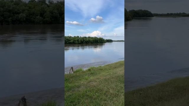 Шум природы на берегу р. Терека смотреть онлайн