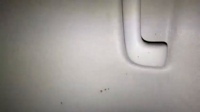 Осмотр авто в Кореи Kia Seltos смотреть онлайн