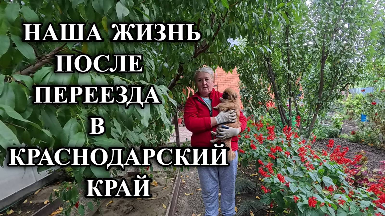 694ч Один день из жизни на юге/Переехали на Кубань/Купили новый дом на юге смотреть онлайн