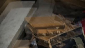 Открыли багажник буханки, а там...